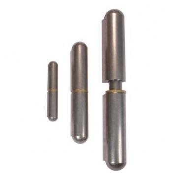 Steel Bullet Hinges