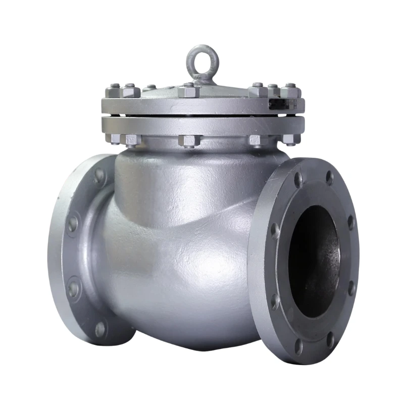 check valve