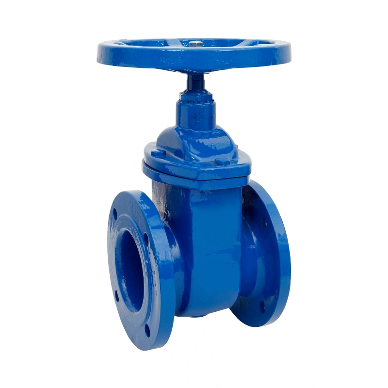 gate valve