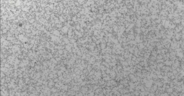 microstructure de l'acier rapide après normalisation à 20 µm