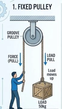 fixed pulley
