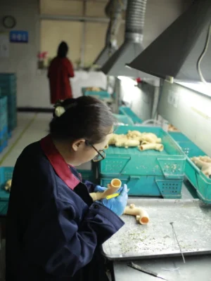 casting factory 6.webp