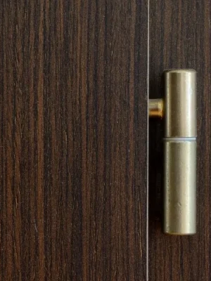 gate barrel hinges 9