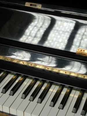 مفصلة البيانو 1