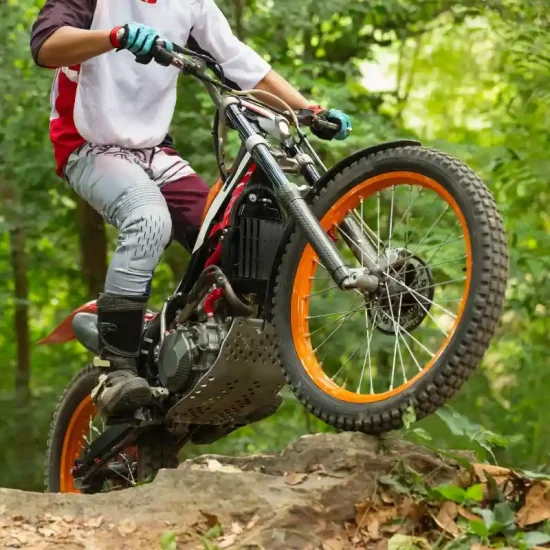 صناعة سباقات الدراجات النارية